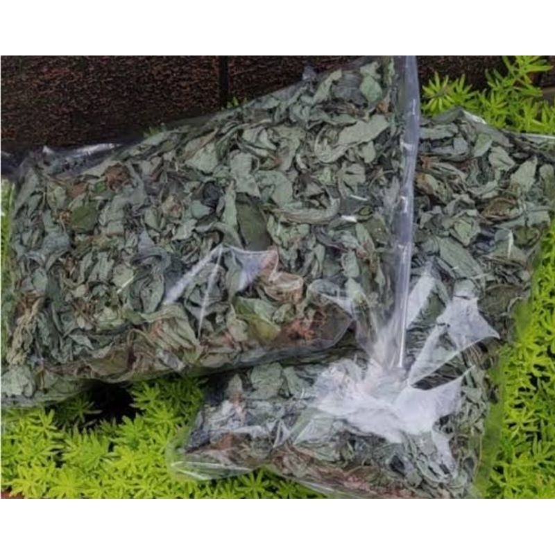 

Daun waru kering iris daun waru cacah per 2 bungkus-az