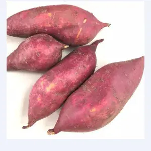 

UBI MERAH 500g