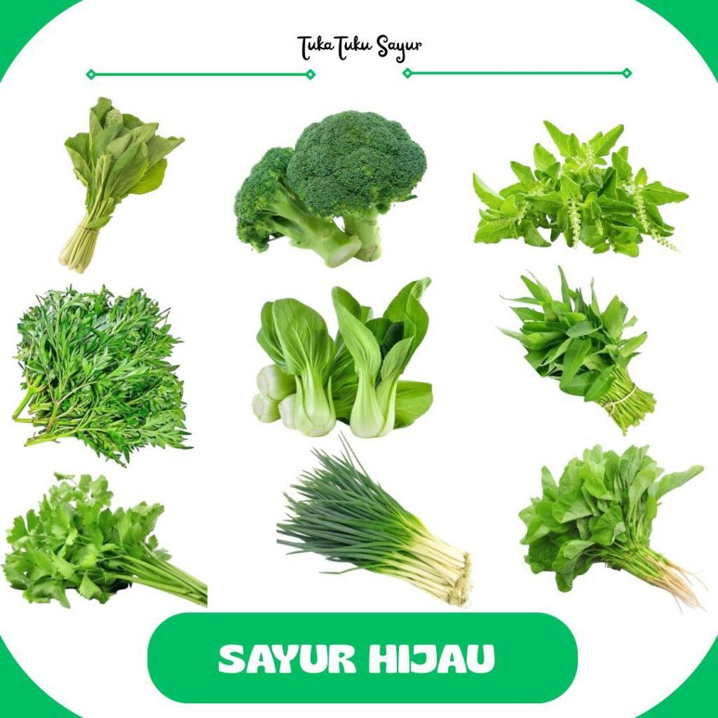 

SAYUR SEGAR / SAYUR FRESH / SAYURAN HIJAU - TukaTuku Sayur
