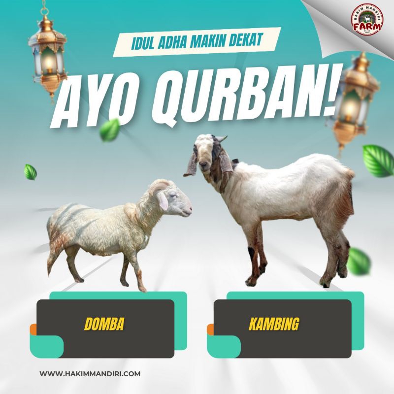 

domba harga terjangkau dan amanah