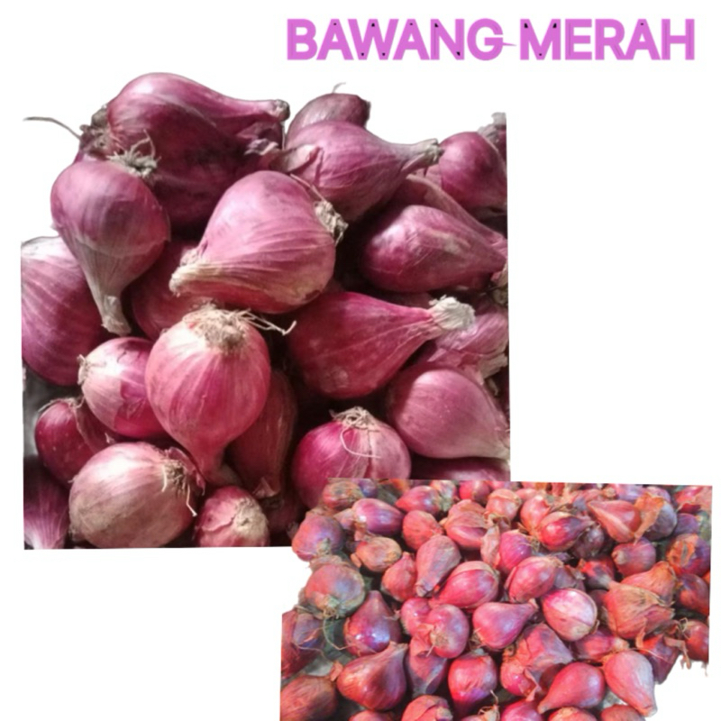 

Bawang Merah Asli Brebes Super Besar & ukuran sedang