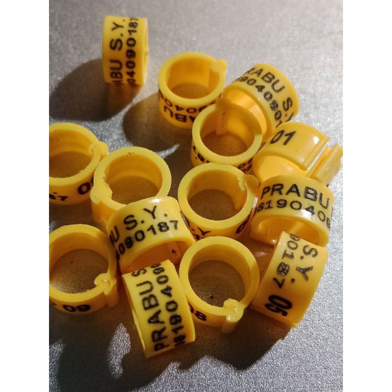 ring burung gelang burung merpati dewasa bisa cetak nama