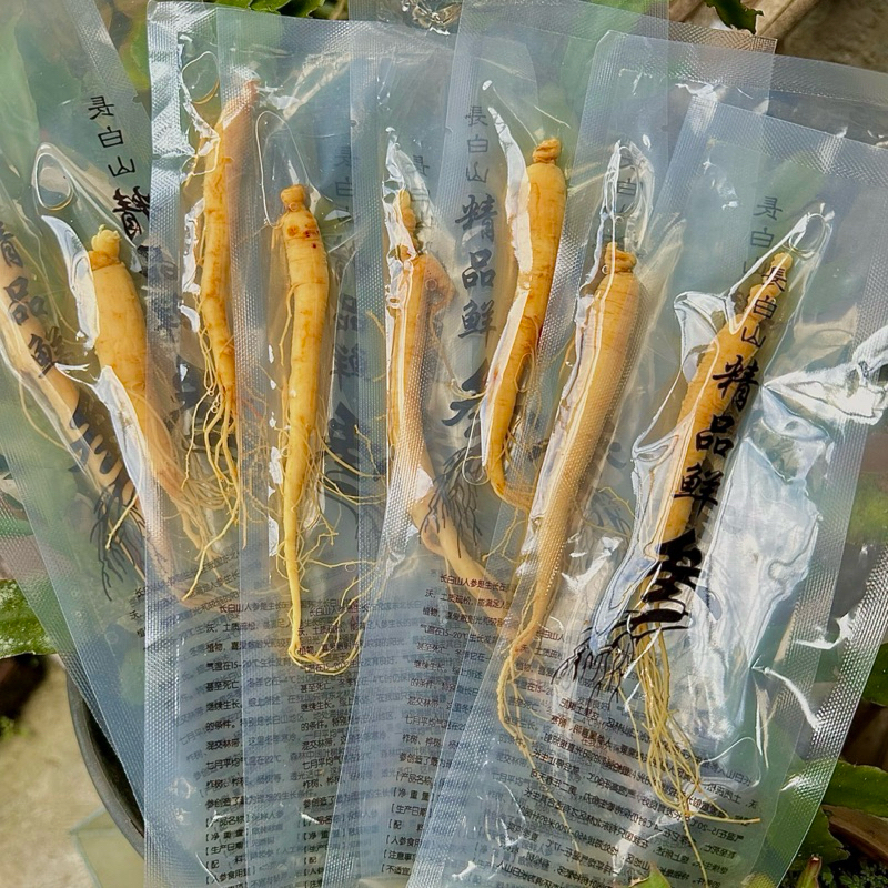 

Ginseng Segar 20gr Asli Changbai | Akar Ginseng Herbal untuk Rendaman