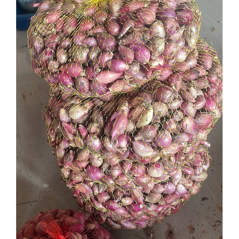 

BAWANG MERAH KECIL (3 KG)
