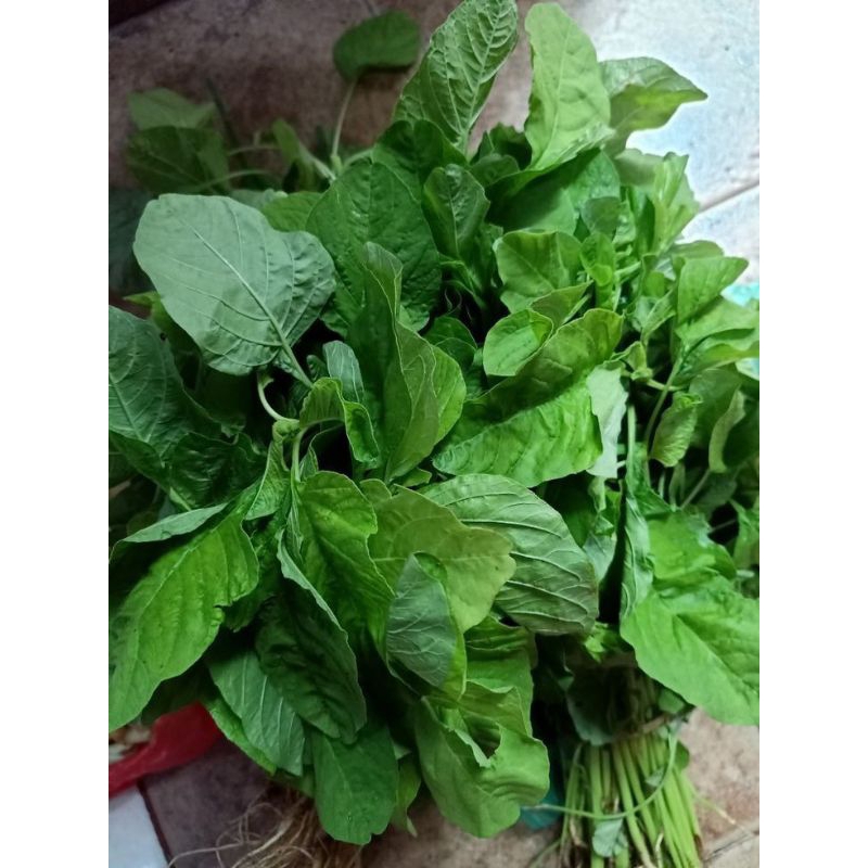 

Bayam FRESH BATAM