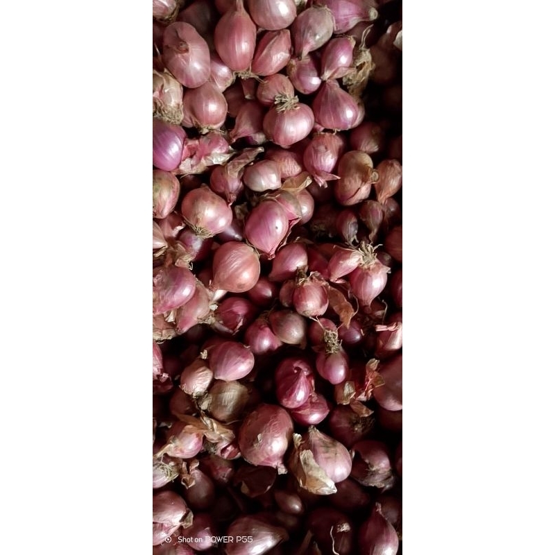 

bawang merah lokal nganjuk srok(paket 3kg)