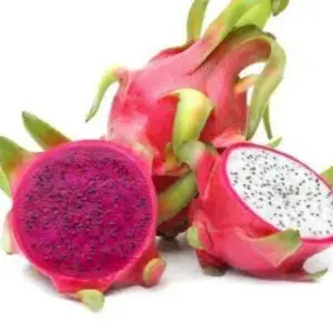

Buah naga