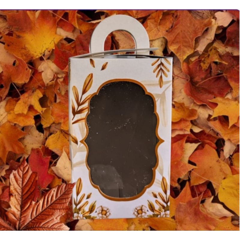 

S (S50) BOX KARTON UNTUK SOUVENIR DPLEX 310