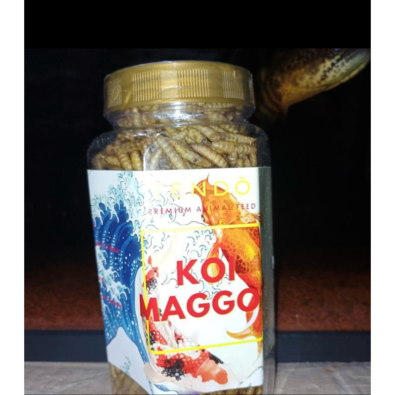 Makanan Ikan Koi Maggot Kering BSF TENDO