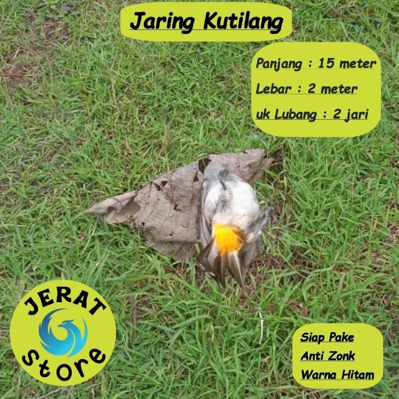 JARING KUTILANG JARING CANGKURILANG JARING GENTILANG JARING 2 INCI JARING 2 IN JARING 2 INCHI JARING