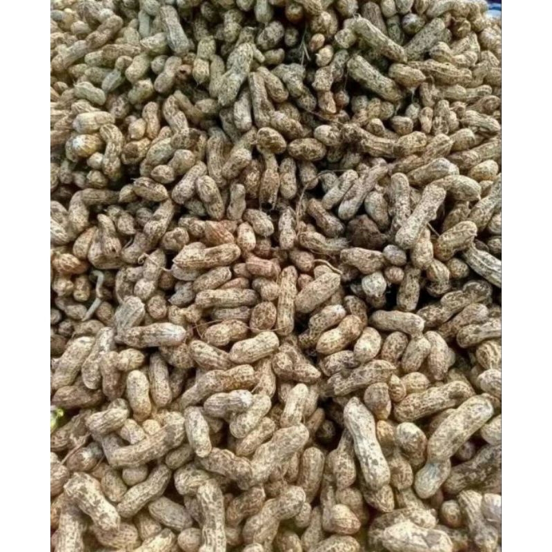 

Kacang Tanah ,Suuk 1 kg ,Gratis Ongkir Bisa COD