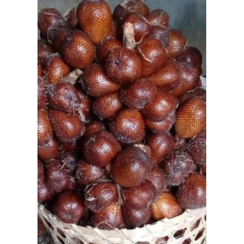 

Salak Pondoh 1kg Asli Segernya - GGS