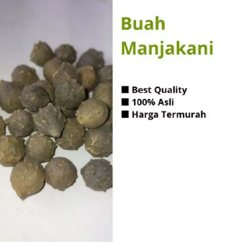 

Buah Manjakani Hijau kemasan 250 gram