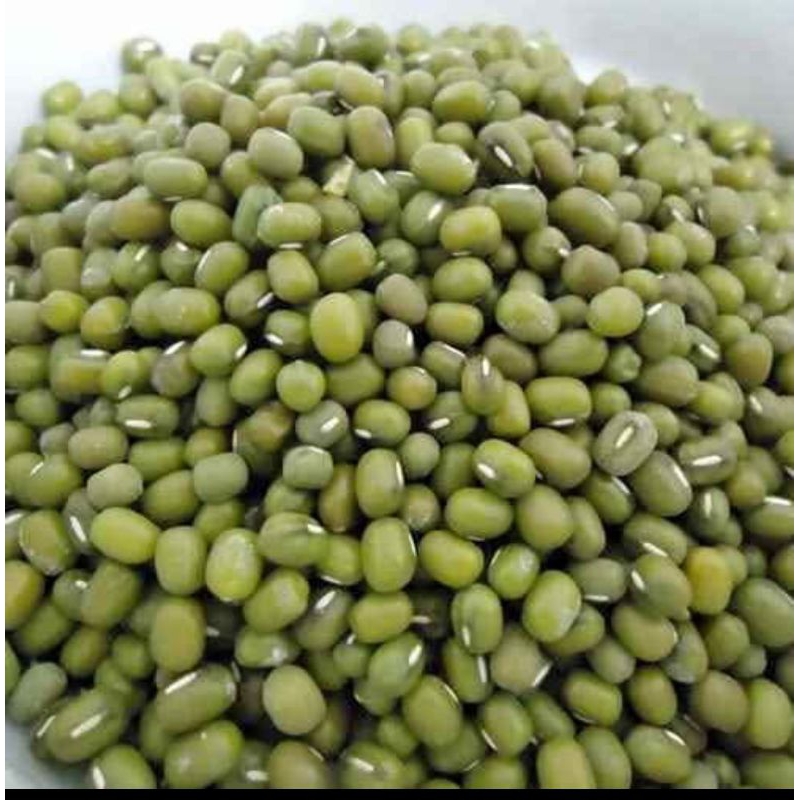 

kacangijo