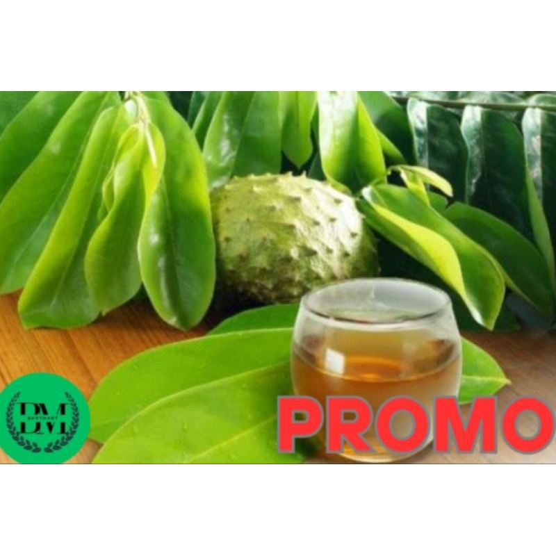 

promo 100 lembar daun sirsak segar dan fresh