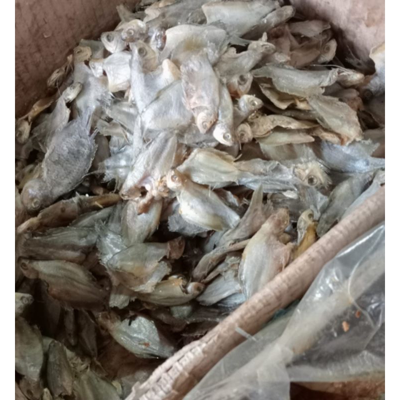 

Sepat Kecil Ikan asin 250 gr