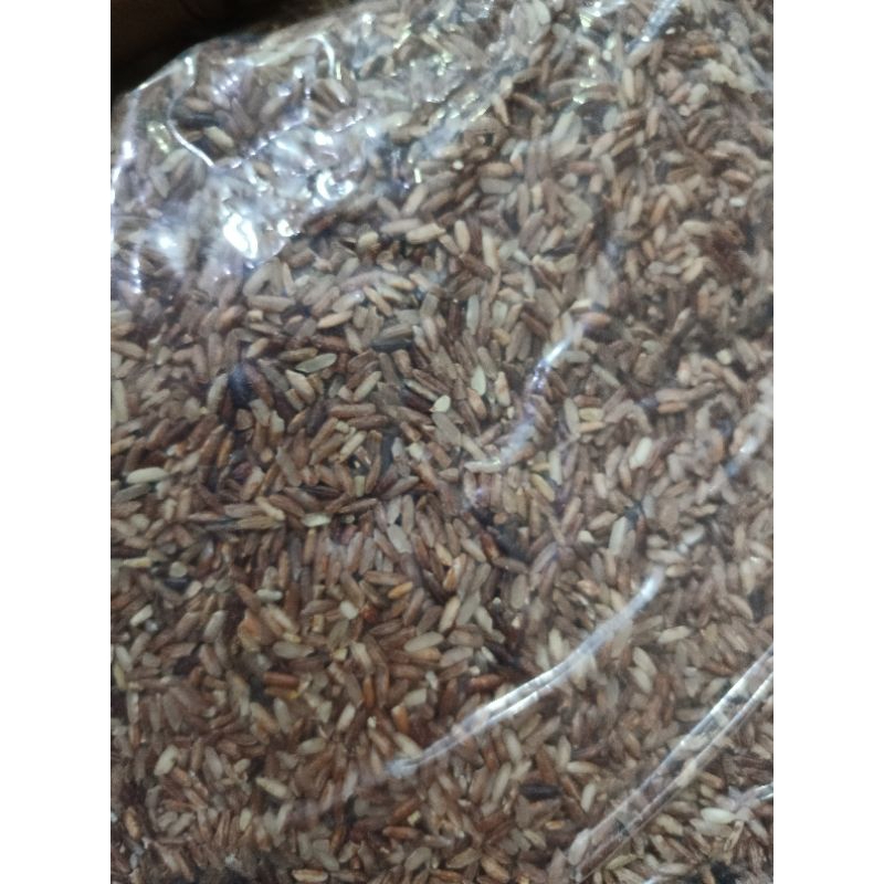 Beras Merah Organik Premium Grosir Kemasan 5 kg
