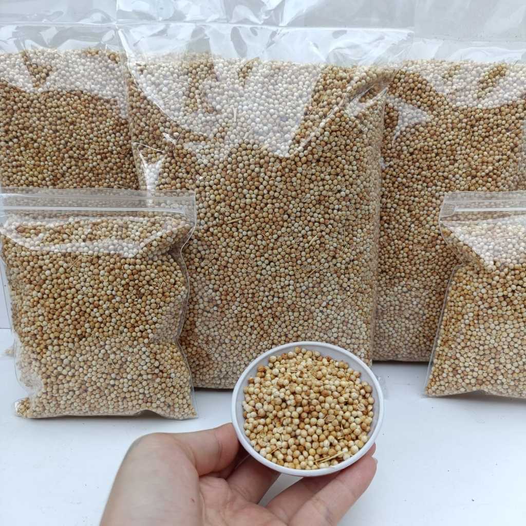 

KETUMBAR PUTIH - ASLI GRADE A