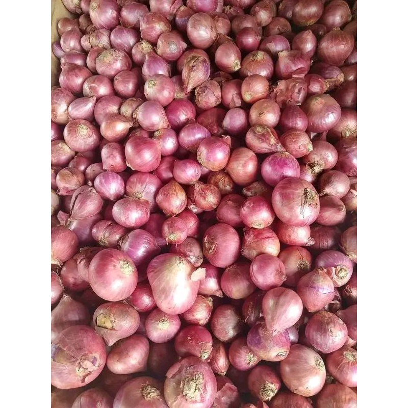 

BAWANG MERAH KERING SUPAER CROSS 1 kg