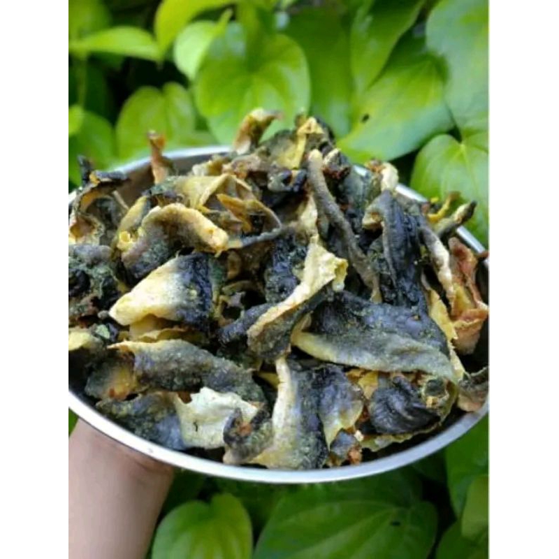 

Krupuk kulit Ikan Patin | Kerupuk Ikan salmon lokal Mentah 100 gram