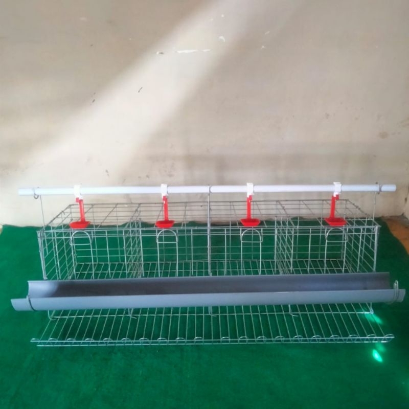 kandang ayam petelur pintu 4 lengkap