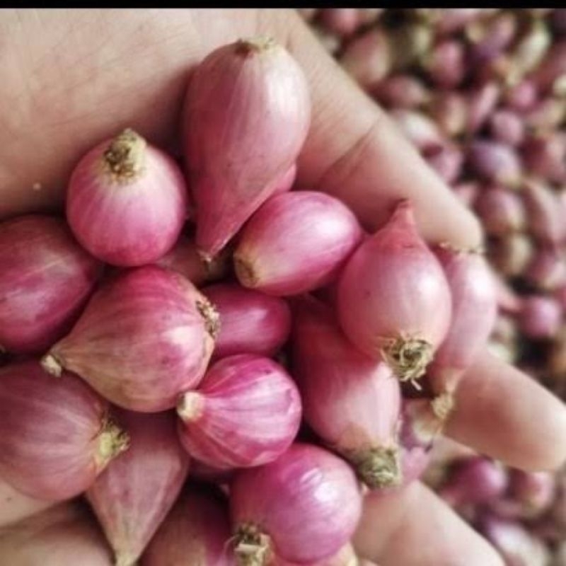 

BAWANG MERAH SUPER per 1000 Gram