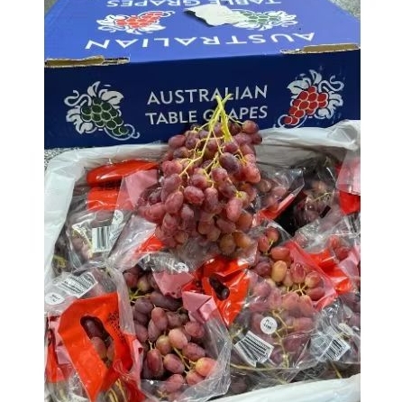 

GROSIR Anggur Merah Crimson Premium Seedless Import Australia