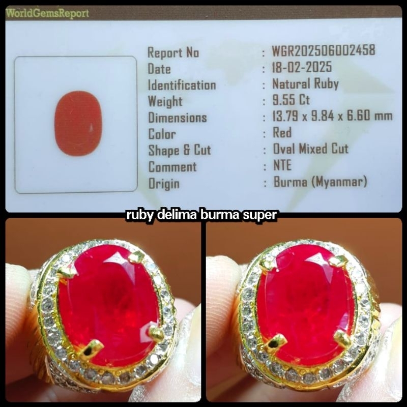 natural 100% ruby jumbo burma myanmar ( asli pigeon blod )