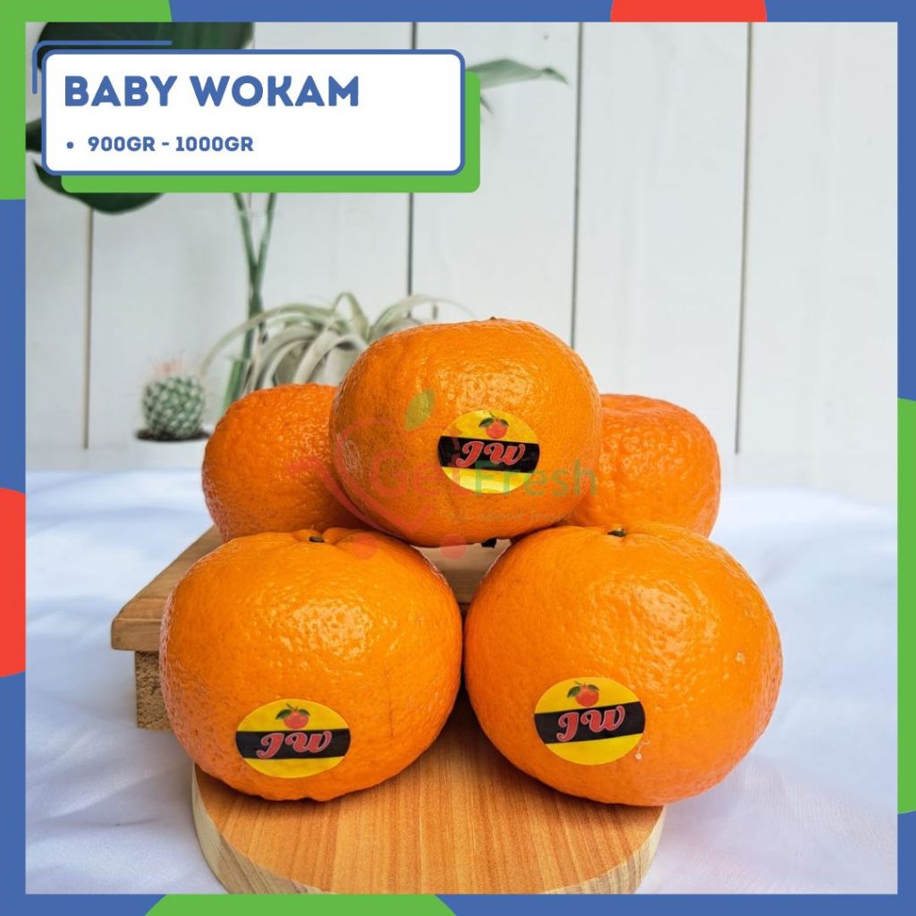 

Jeruk Baby Wokam - Pack 900 - 1000gr