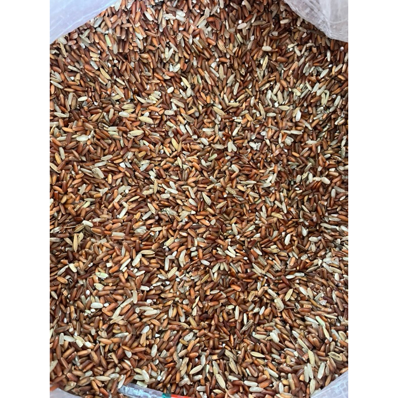 

beras merah /beras merah pakan ternak