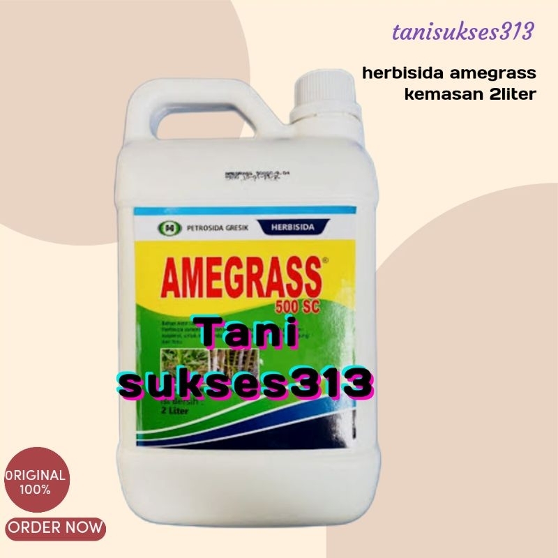 Herbisida amegras 500sc 2liter obat gulma tebu amigras 2liter