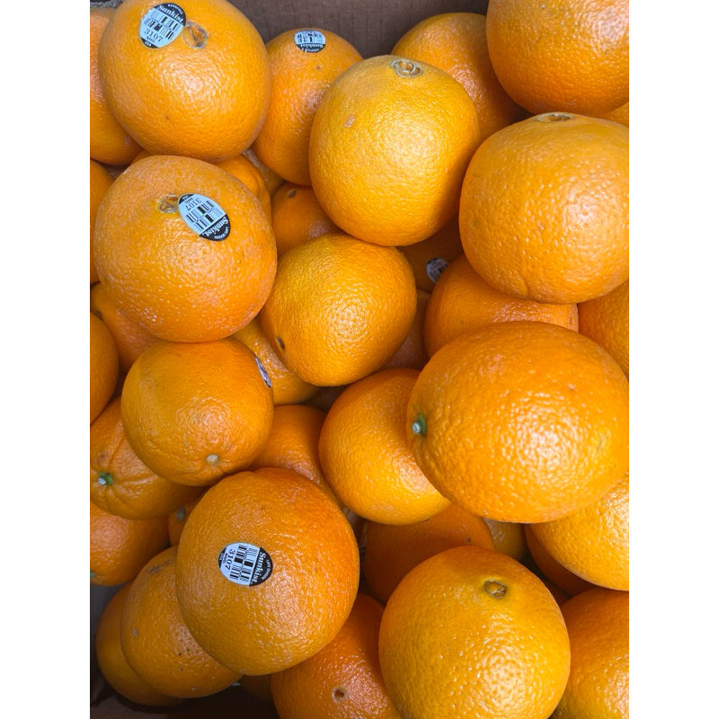 

Jeruk Sunkist manis segar enak