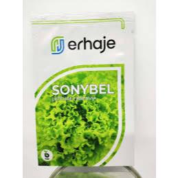 Benih Bibit Selada SONYBEL  1 Gram Bejo Seed Batavia Lettuce