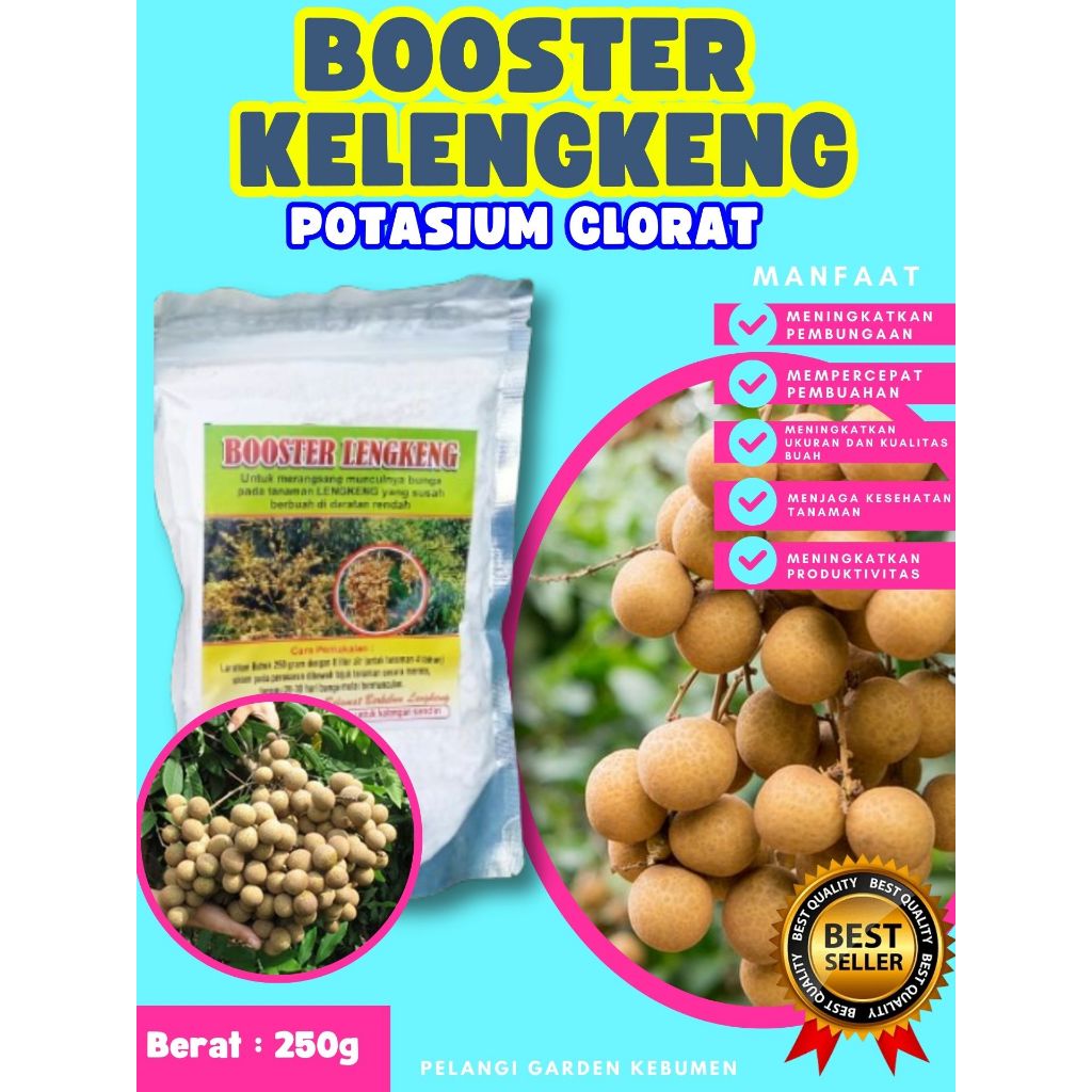 DIJAMIN ASLI  Booster Kelengkeng Berbuah, Booster Kelengkeng Berbunga, Booster Kelengkeng Cepat Berb
