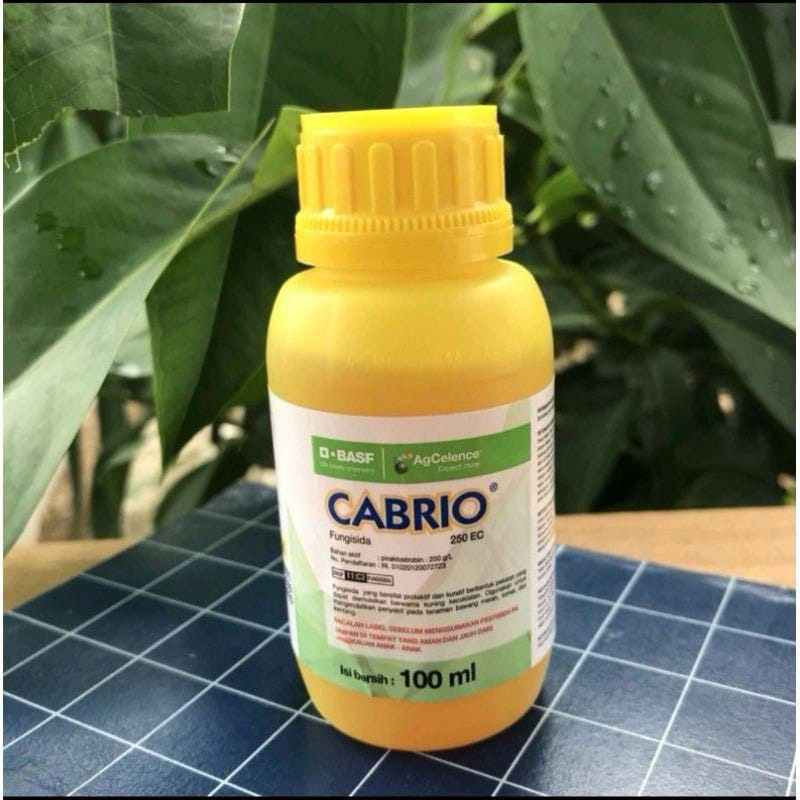 Cabrio 250 EC 100 ML