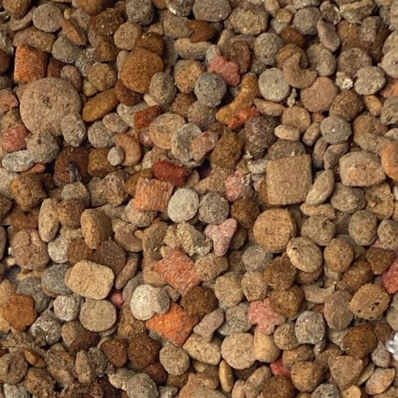 PAKAN MINUS 1 kg - Makanan Kucing JAMURAN Pakan Alternatif Ikan Lele Tinggi Protein Makanan Lele Poe