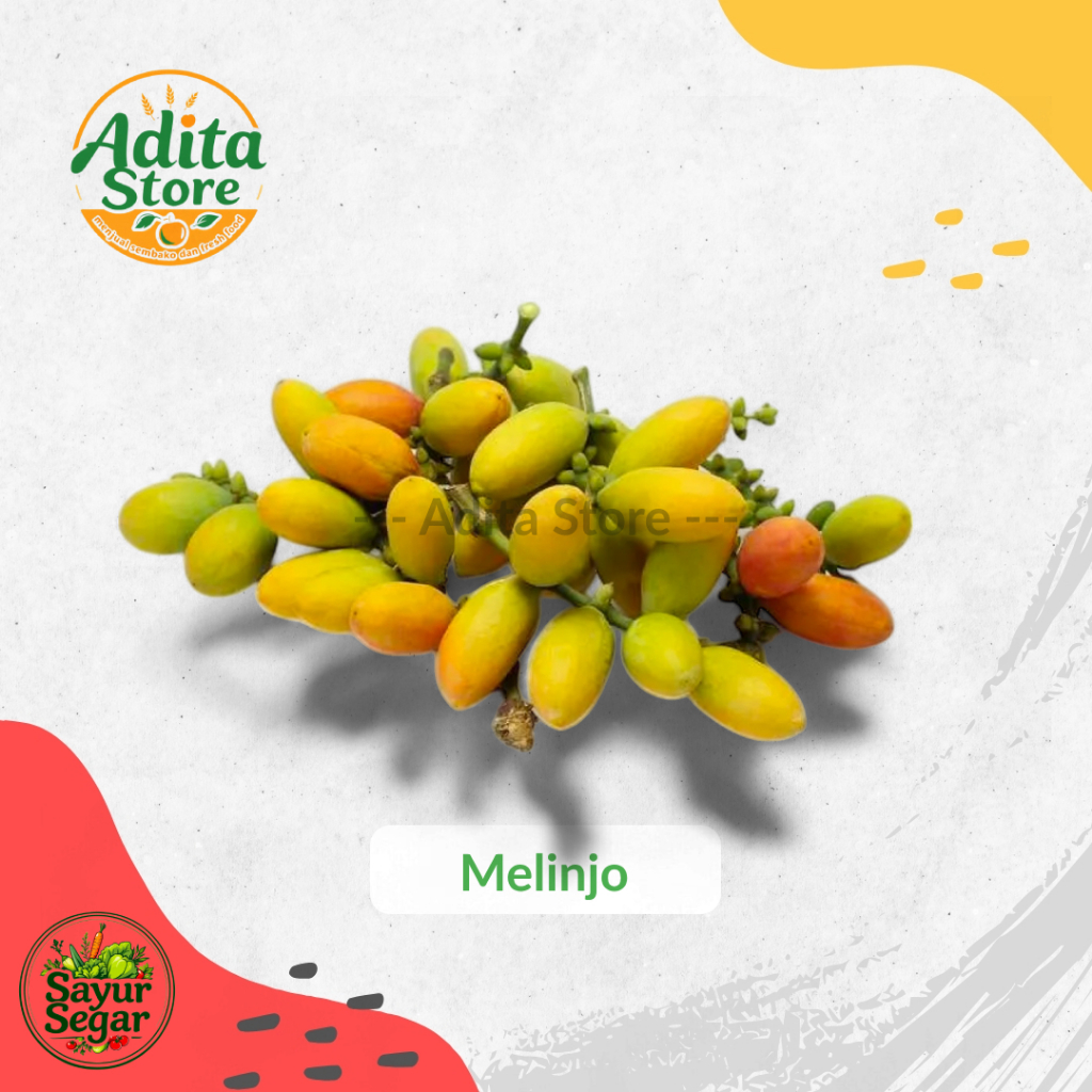 

Buah Melinjo Segar | Melinjo