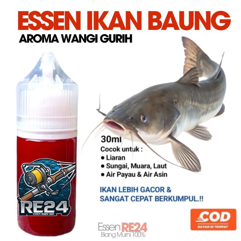 RE24 ESSEN UNTUK IKAN BAUNG IKAN LUNDU IKAN KETING LIAR SUNGAI PALING GACOR ESSEN IKAN BAUNG PALING 