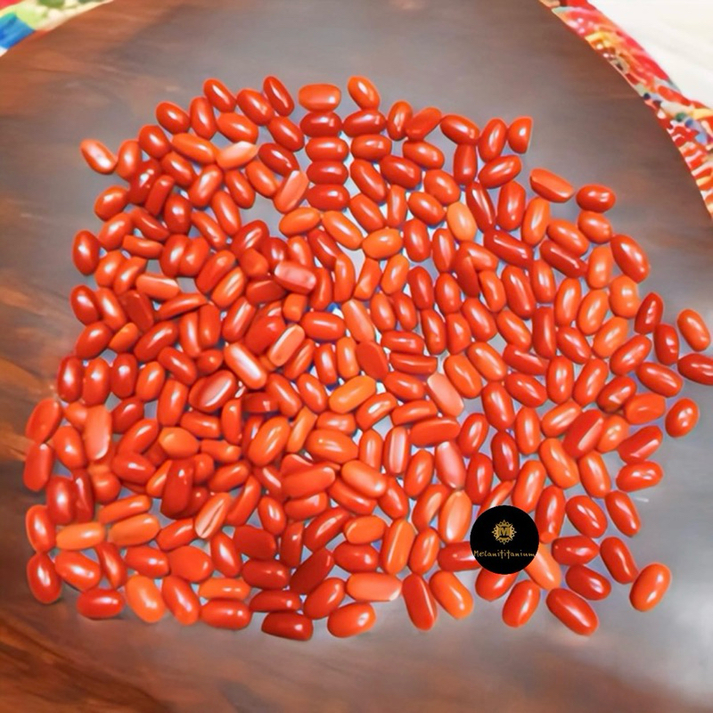 HANYA BATU Natural Batu Marjan Origional Mesir Laut Merah 100% Natural