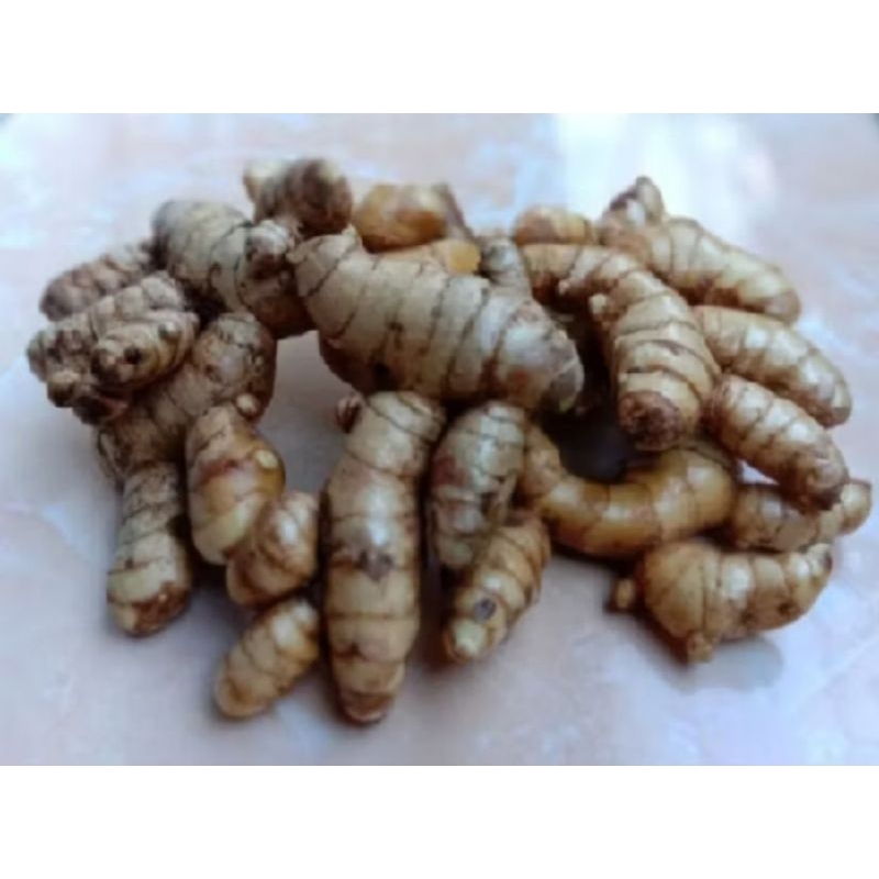 

termurah temu kunyit putih herbal alami 1 kg