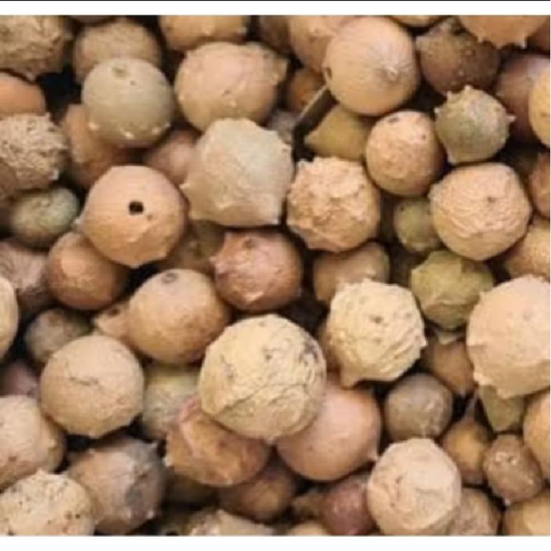 

Manjakani buah/Manjakani kuning/kemasan 250 gram