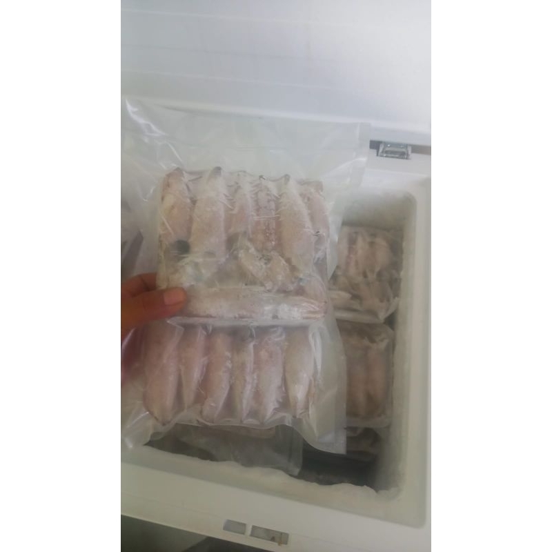 

CUMI CANTIK FRESH FROZEN 15-20CM 500gr-1kg