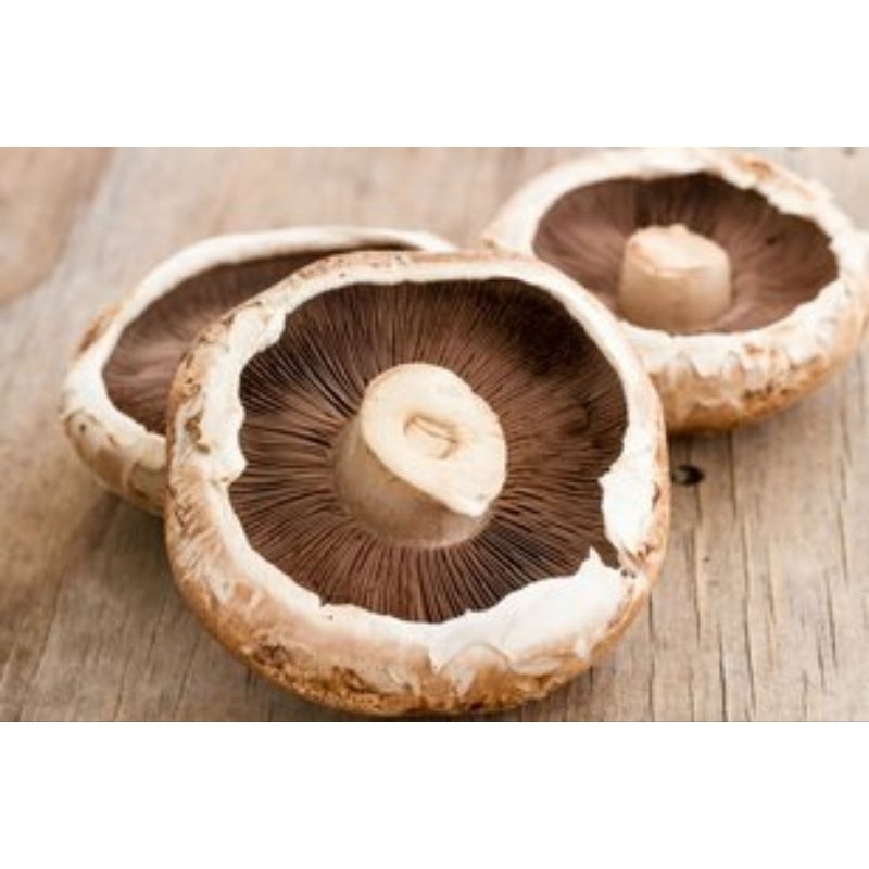 

JYOTI JAMUR PORTABELLO 250 GR