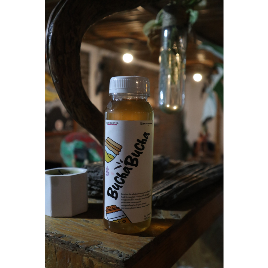 

KOMBUCHA Bucha bucha By BINA HOUSE