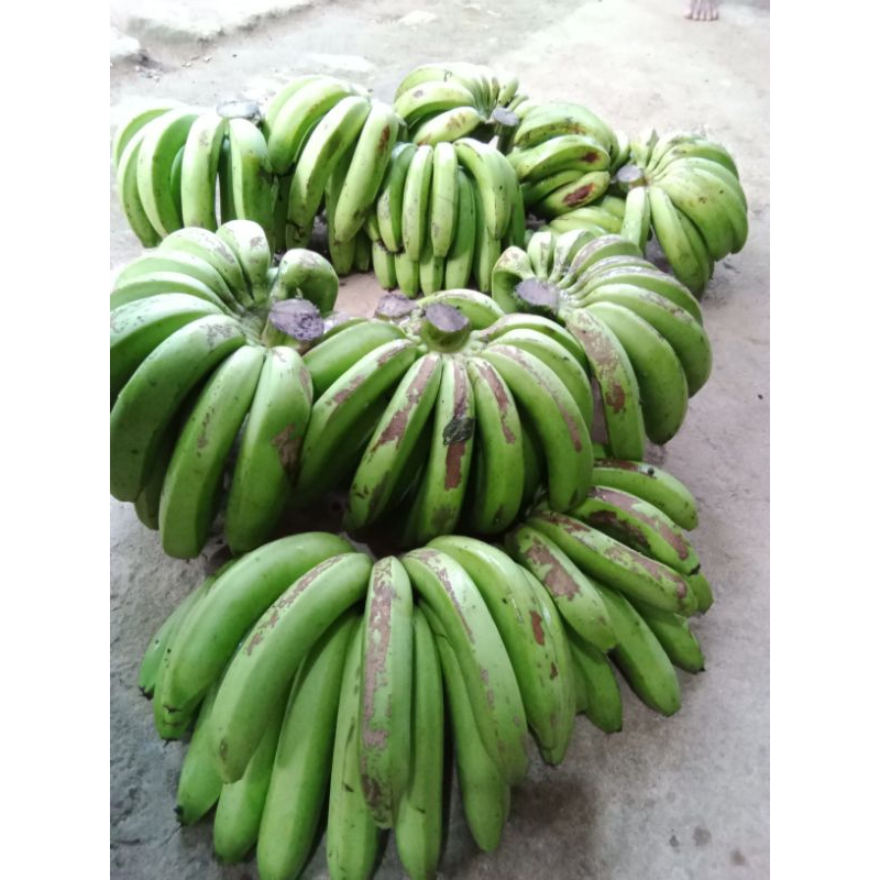 

pisang ambon satu sisir isi banyak berat 1 kg bisa lebih.