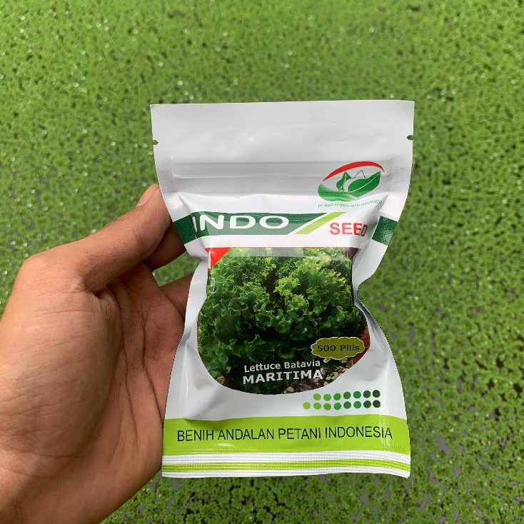 Maritima Benih selada batavia indo seed 500 pils