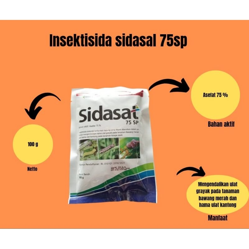 INSEKTISIDA SIDASAT ASEFAT 75 % 100 GRAM