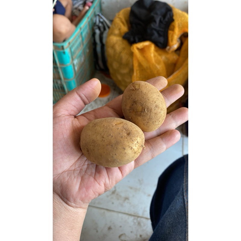 

Kentang Dieng 1kg ukuran sedang