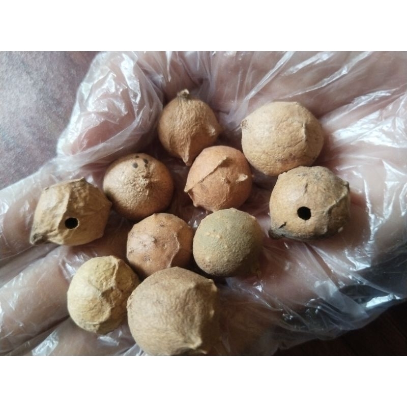 

100 gr Manjakani. kering, bersih, kualitas super.