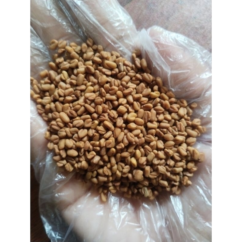 

200 gr Fenugreek / Kelabet / Kelabat Asli kering dan bersih. Asli Indonesia